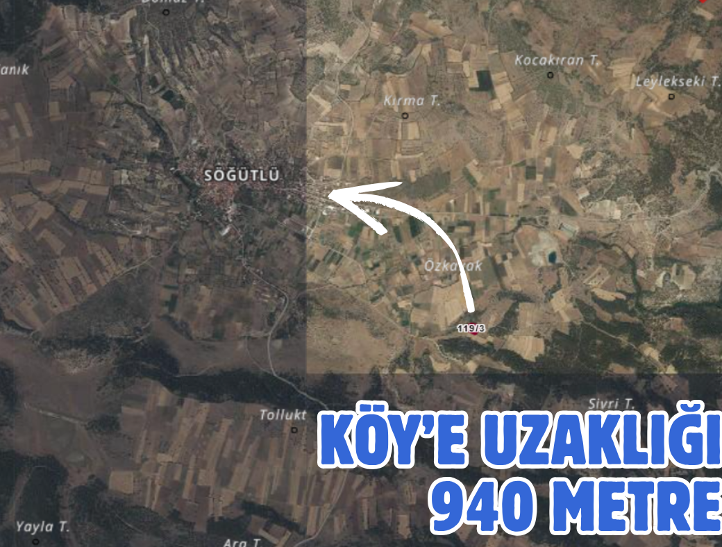 DENİZLİ ÇARDAK SÖĞÜT 3.003 M² TARLAMIZ SATILIKTIR - DENİZLİ ÇARDAK fotoğraf 2